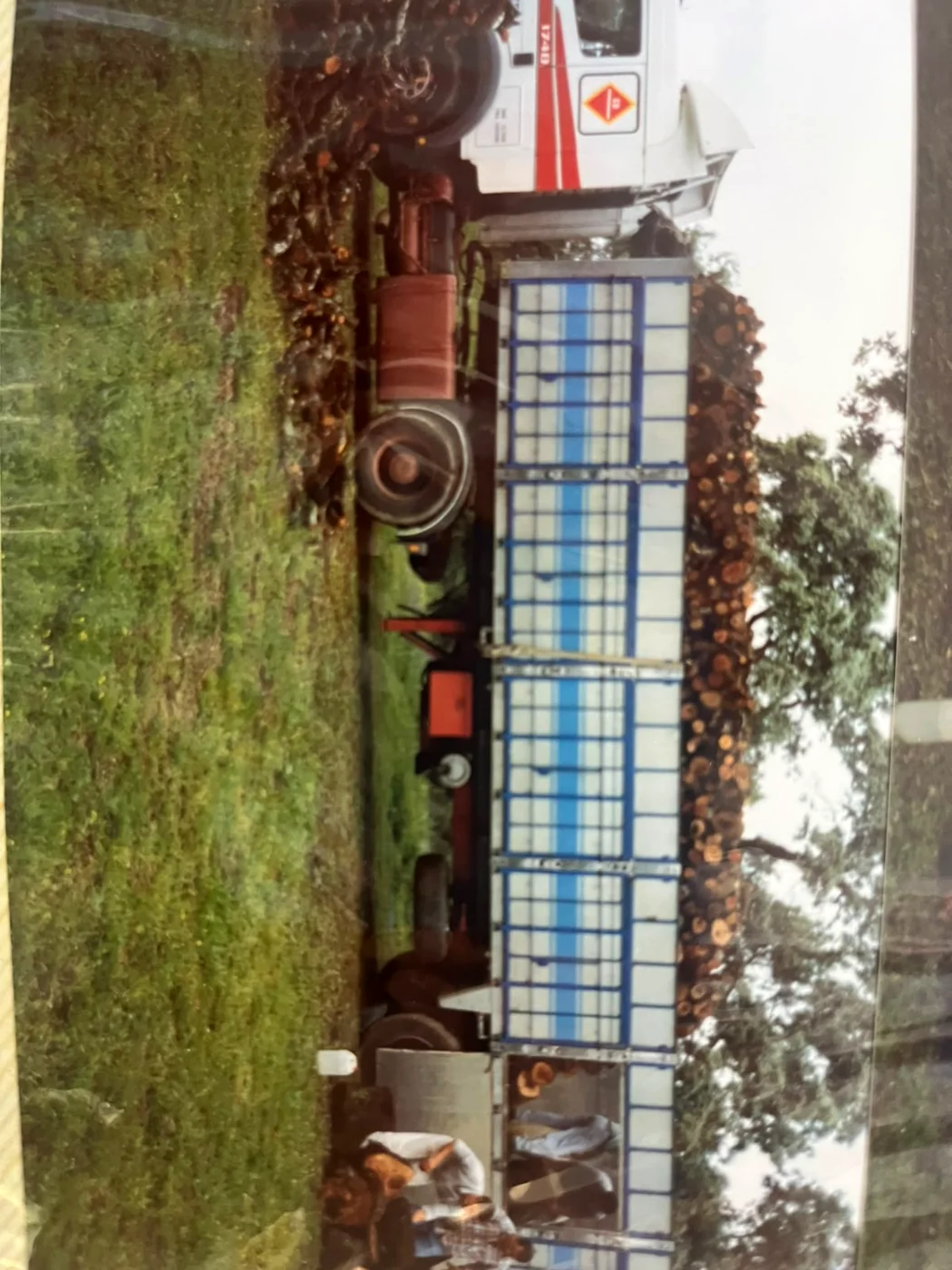 Transporte tradicional de troncos